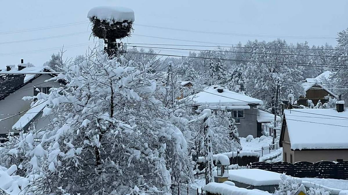 Śnieżyca sparaliżowała Podkarpacie, ponad 80 tysięcy domów bez prądu