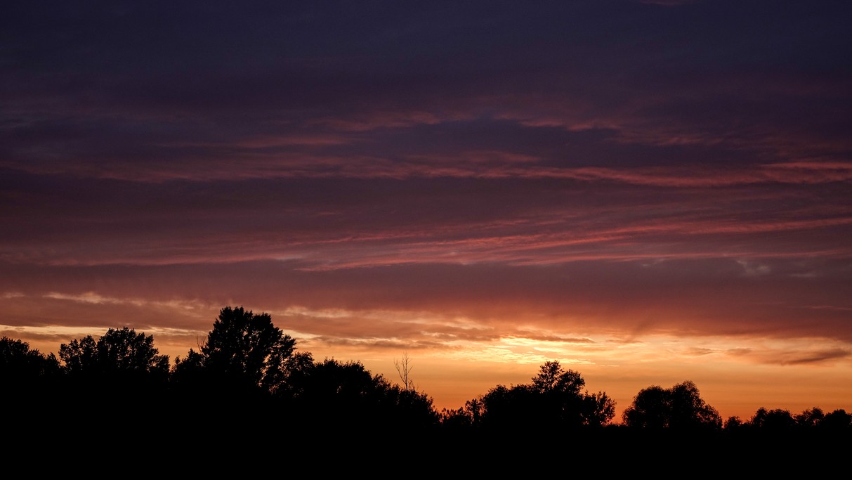 Sierpień w obiektywie - zdjęcie 27