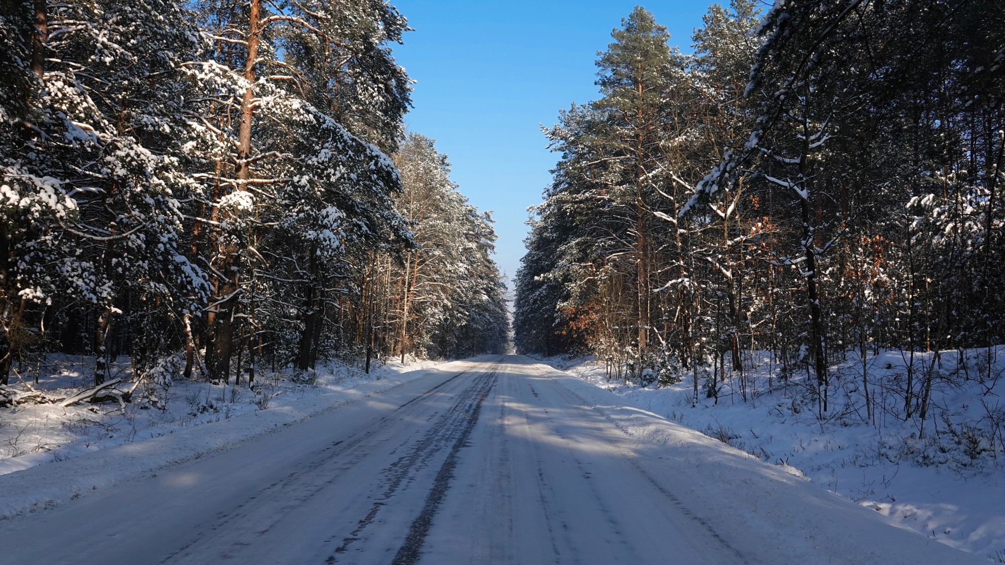 Na lodowym szlaku - zdjęcie 37