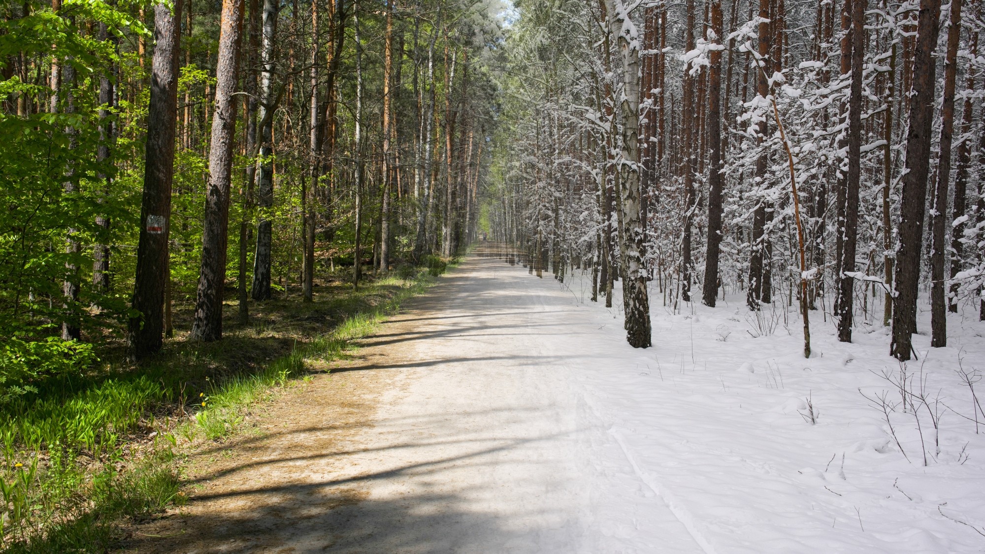 Porównanie wiosny i zimy - zdjęcie 15