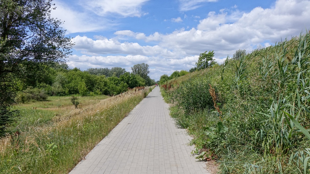 Czerwiec w obiektywie - zdjęcie 18