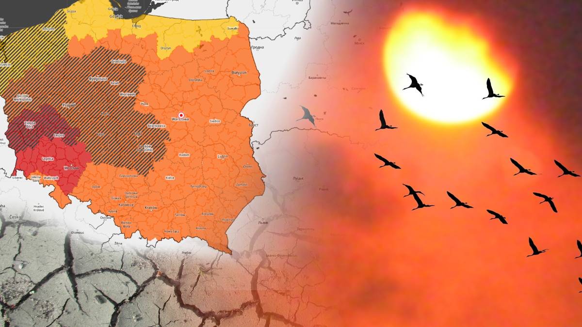"Szkody o rozmiarach katastrof". Fala upałów nad Polską, IMGW ostrzega