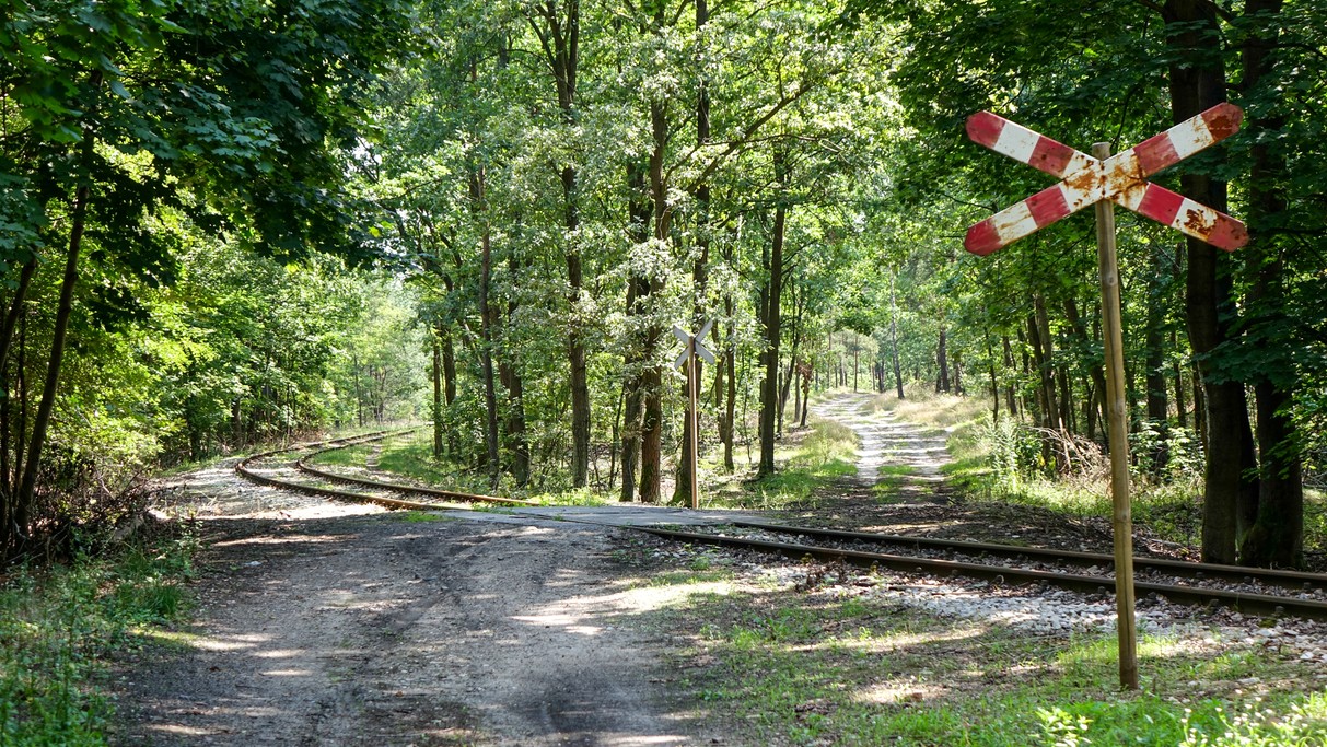 Lipiec w obiektywie - zdjęcie 33