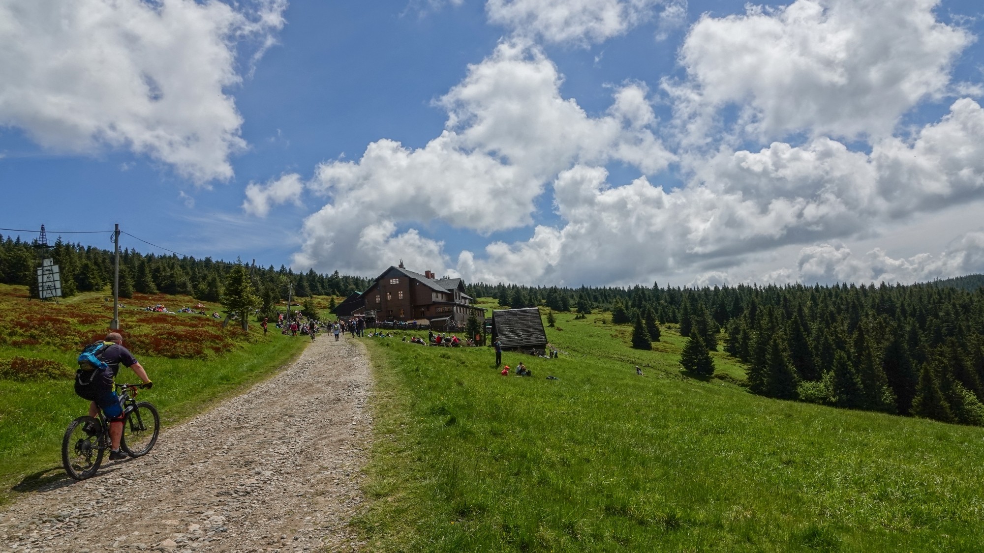 Letnie klimaty na łonie natury - zdjęcie 22