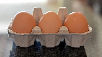 Polskie jajka zakażone salmonellą trafiły na rynek Unii Europejskiej