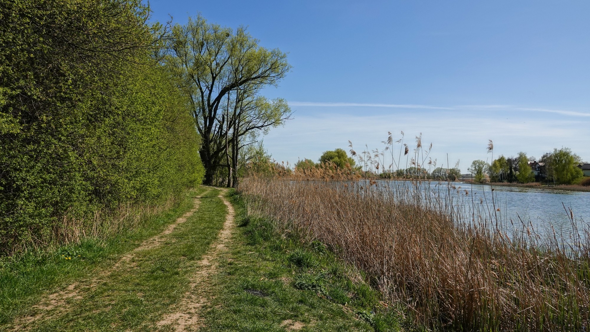 100 najpiękniejszych zdjęć 2020 roku - zdjęcie 98