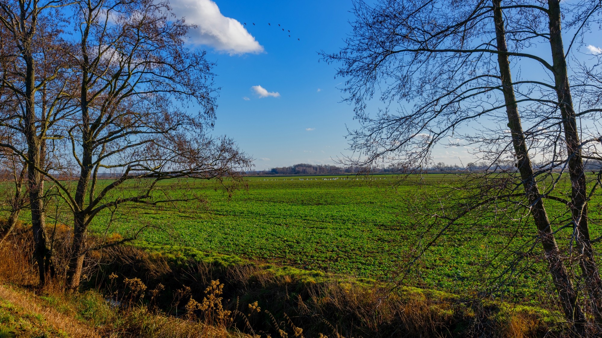 Różne oblicza zimy - zdjęcie 36