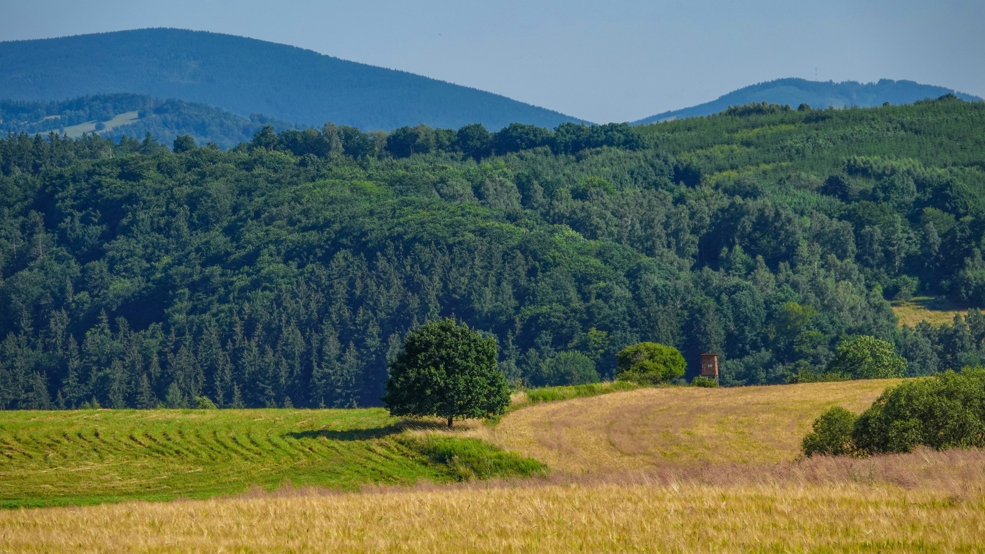 Góry Sowie, Suche i Kamienne - zdjęcie 31