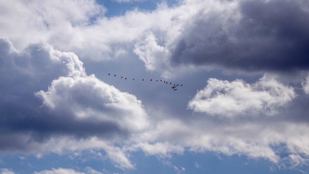 Marzec w obiektywie - zdjęcie 11