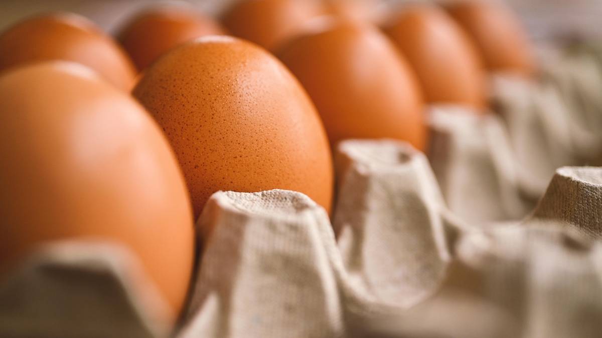 Przedstawiamy zalecenia ekspertów odnośnie spożycia jajek