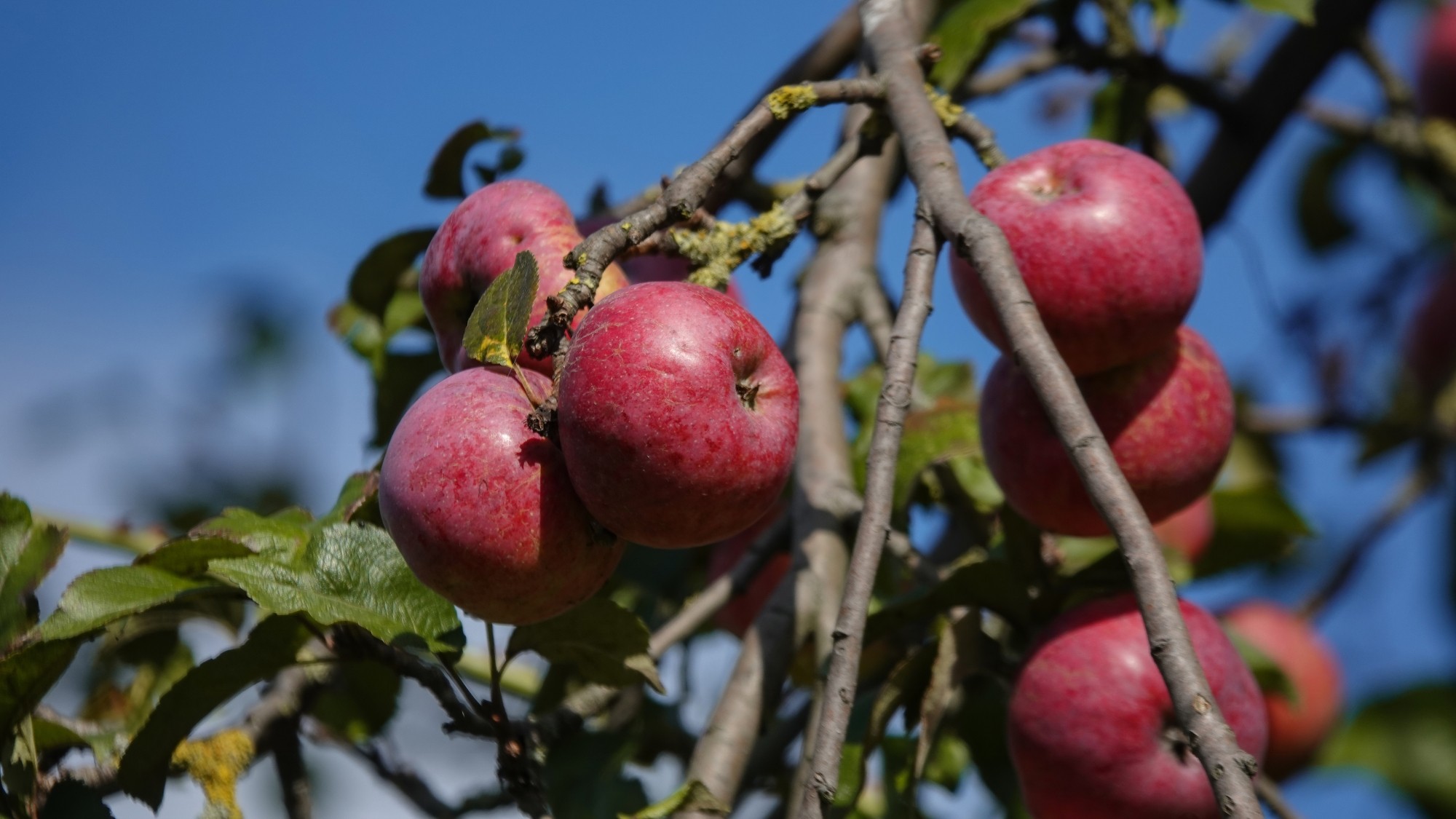 Jesienne klimaty - zdjęcie 22