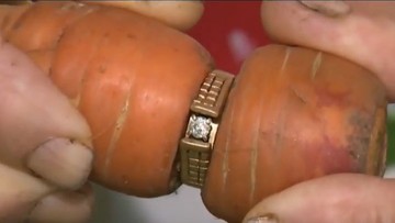 Zgubiony pierścionek zaręczynowy po 13 latach odnalazł się w... marchewce