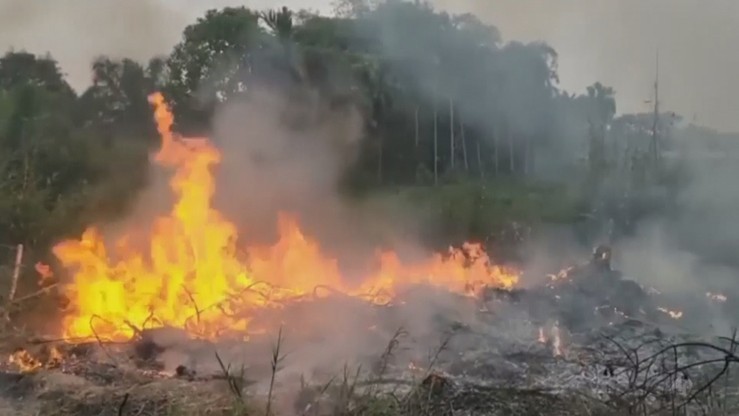 Indonezja: szaleją pożary lasów - dymy docierają do Malezji