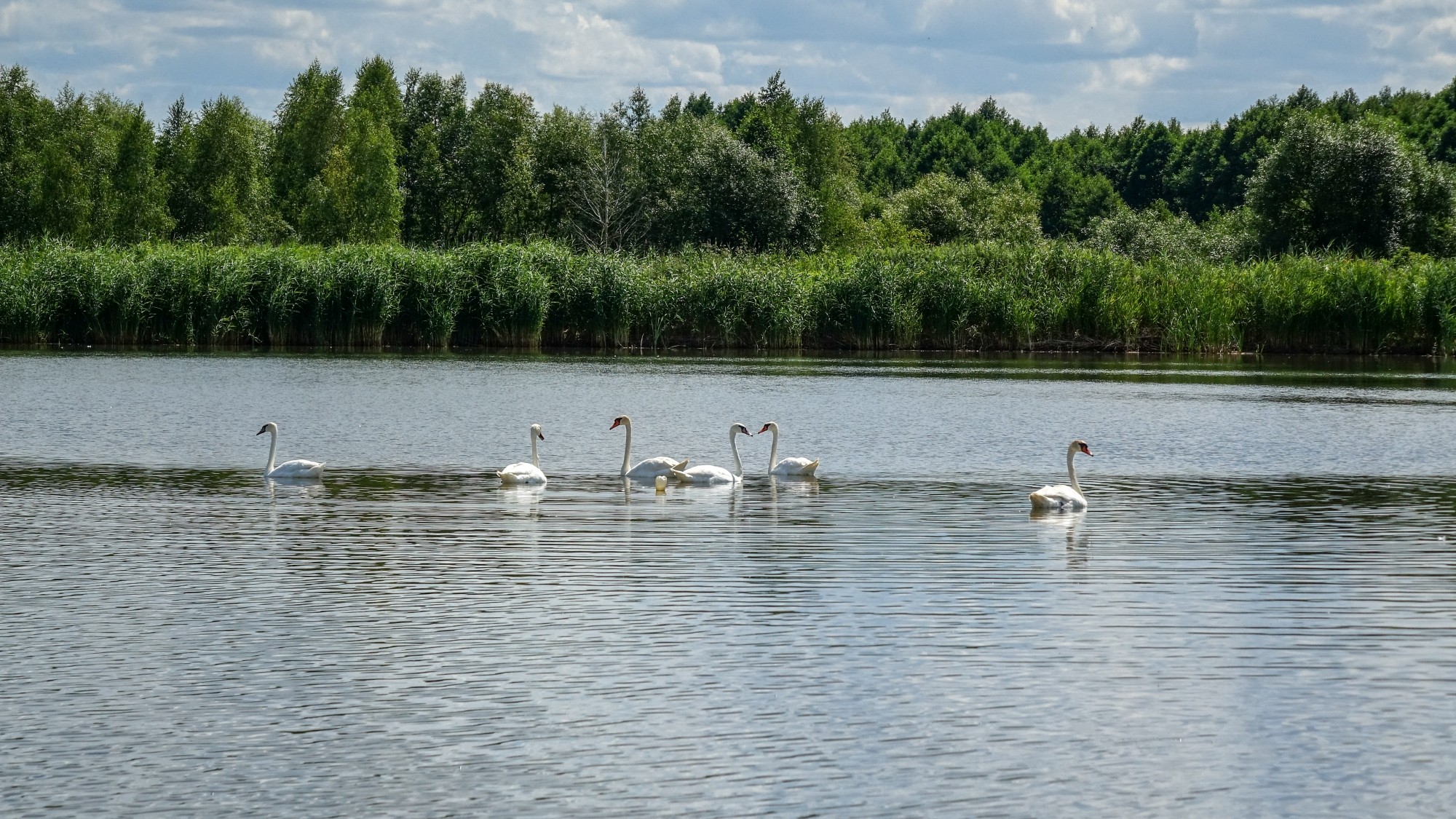 Lipiec w obiektywie - zdjęcie 13