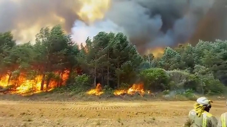 Hiszpania. Fala upałów wzmaga pożary. Mieszkańcy ewakuowani