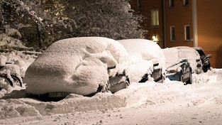 26.01.2021 12:00 Śnieżny kataklizm na wschodzie kraju. Nieprzejezdne drogi, tysiące domów bez prądu [ZDJĘCIA]