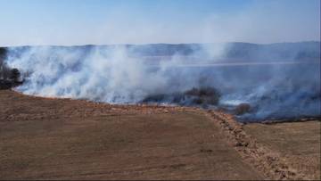 Duży pożar na Mazowszu. Walka z ogniem trwa już kilka godzin