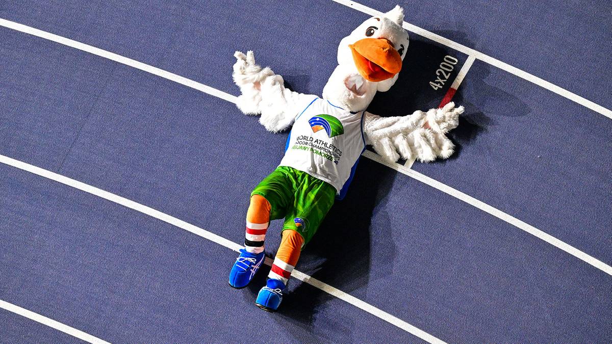 Maskotka gęsi w stroju sportowym na bieżni lekkoatletycznej.