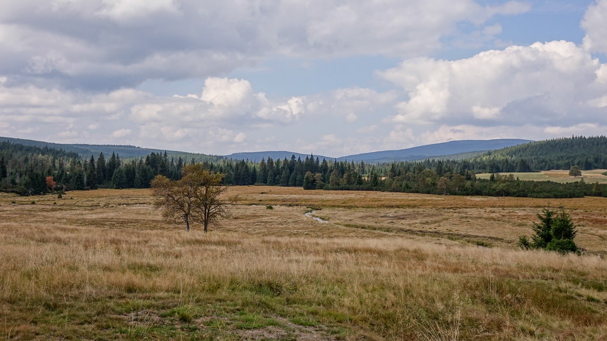 Uroki końca lata - zdjęcie 35