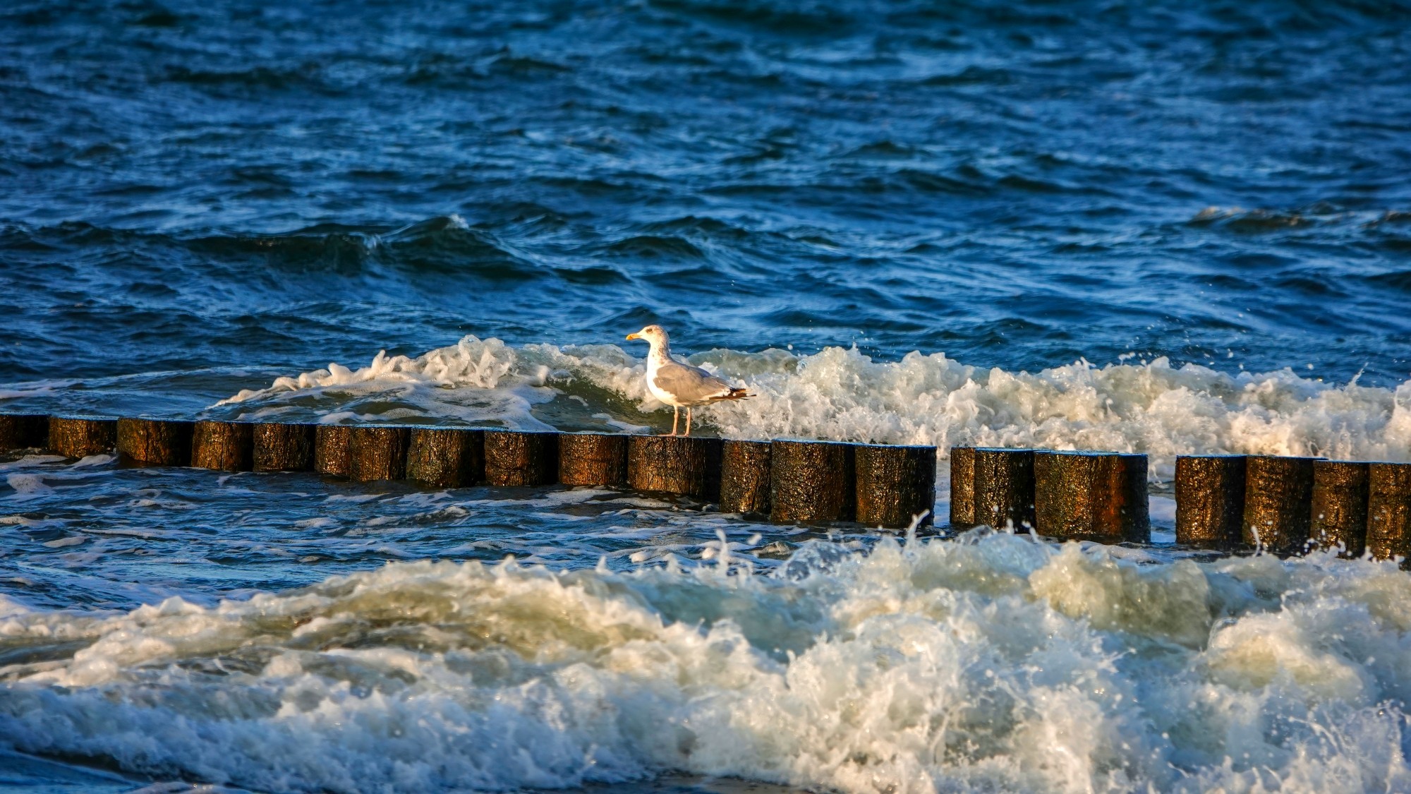 Bałtyk po sezonie - zdjęcie 25