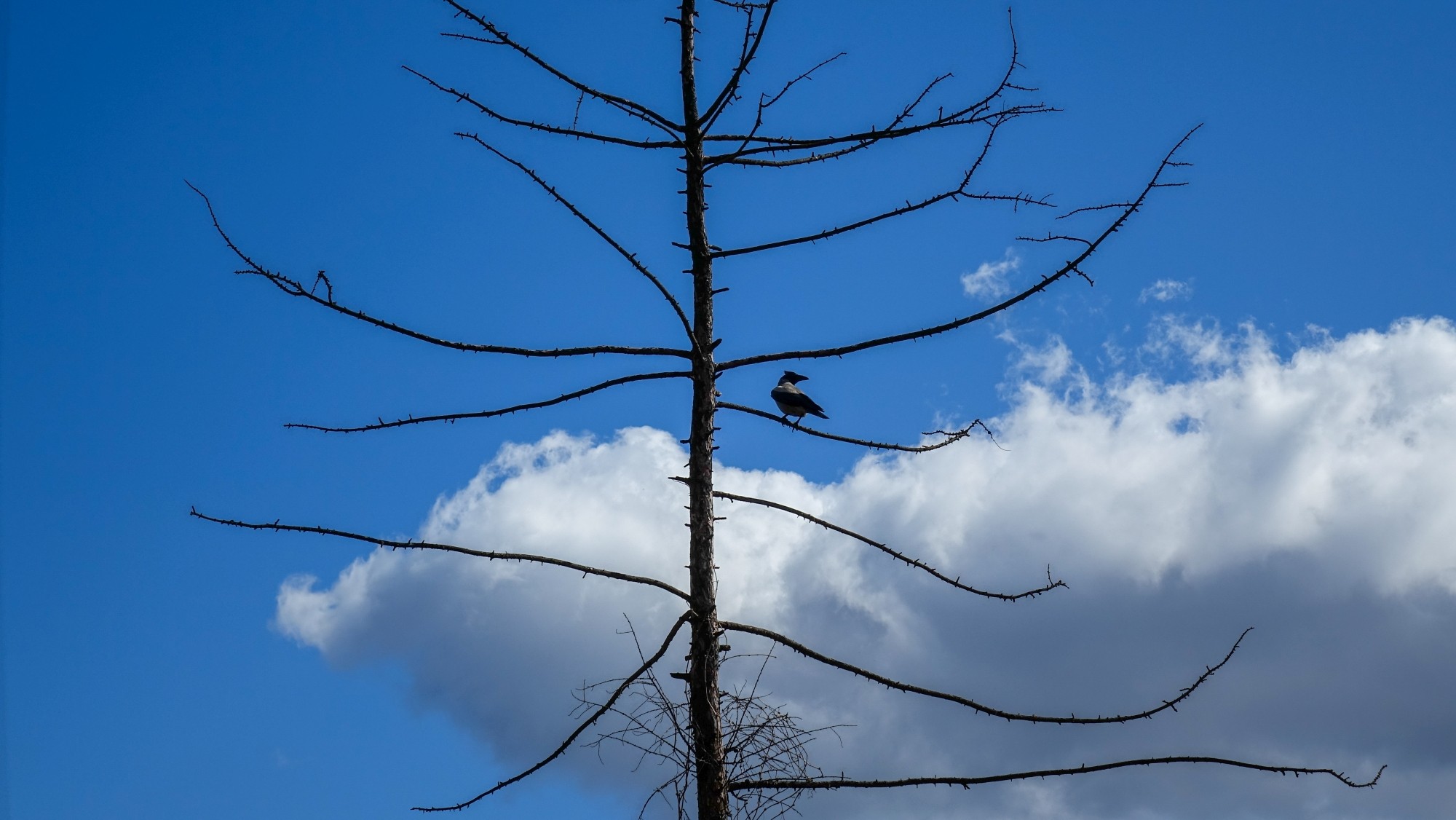 Kwiecień w obiektywie - zdjęcie 29