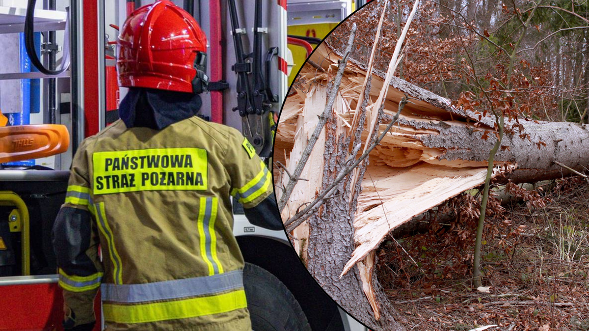 Wichury nad Polską. Setki interwencji strażaków, zamknięto Łazienki Królewskie