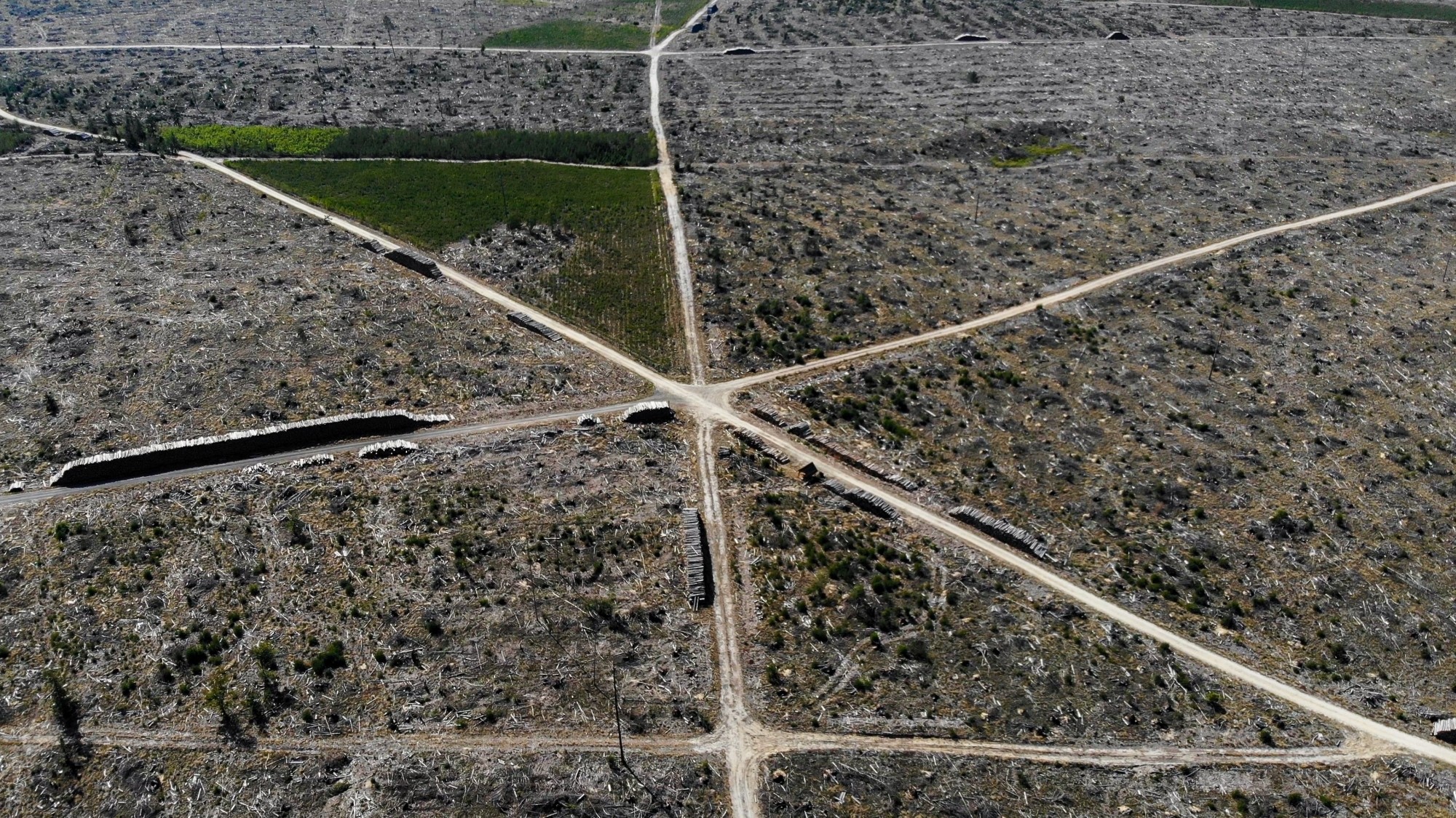 Niesamowita Polska z lotu ptaka - zdjęcie 27