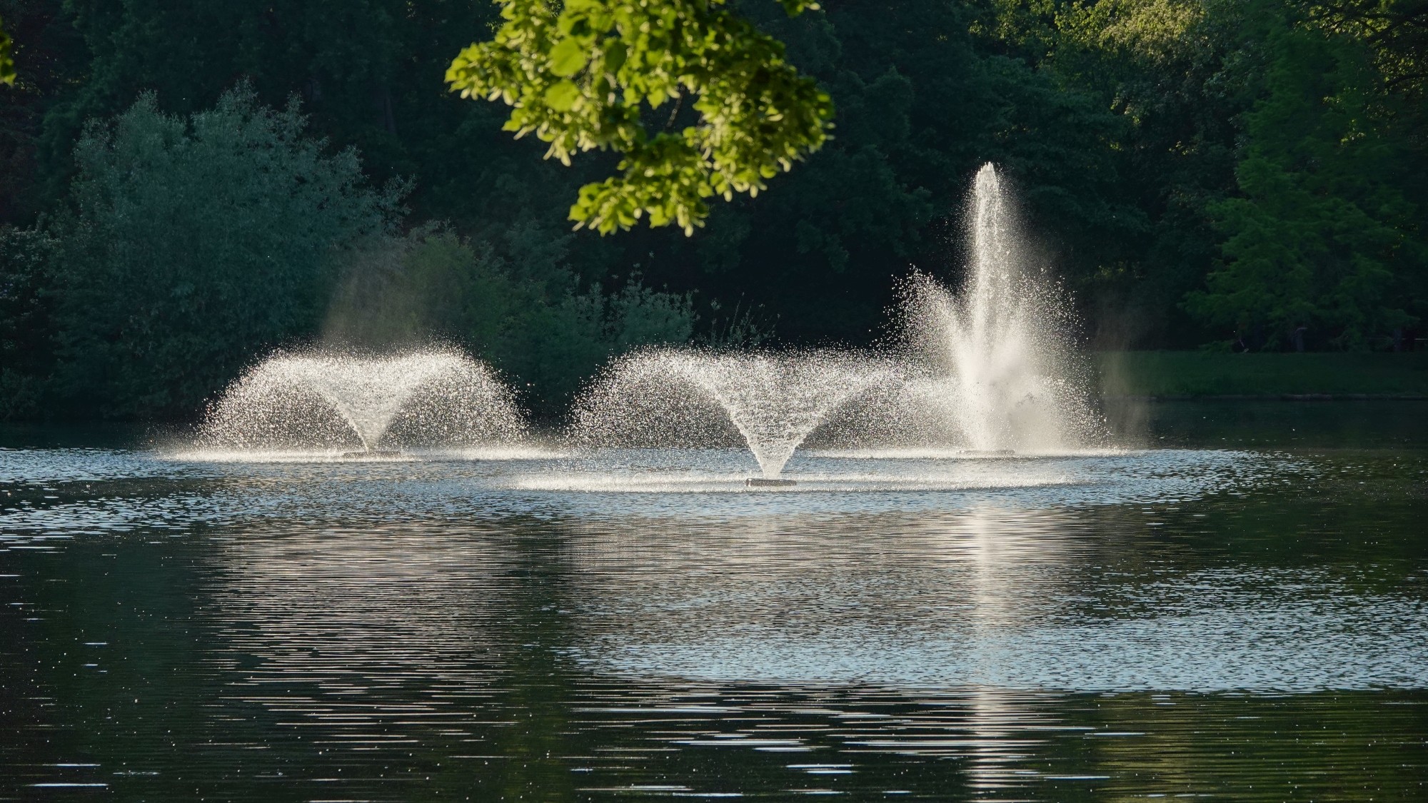 Uroki zielonej pory roku - zdjęcie 11