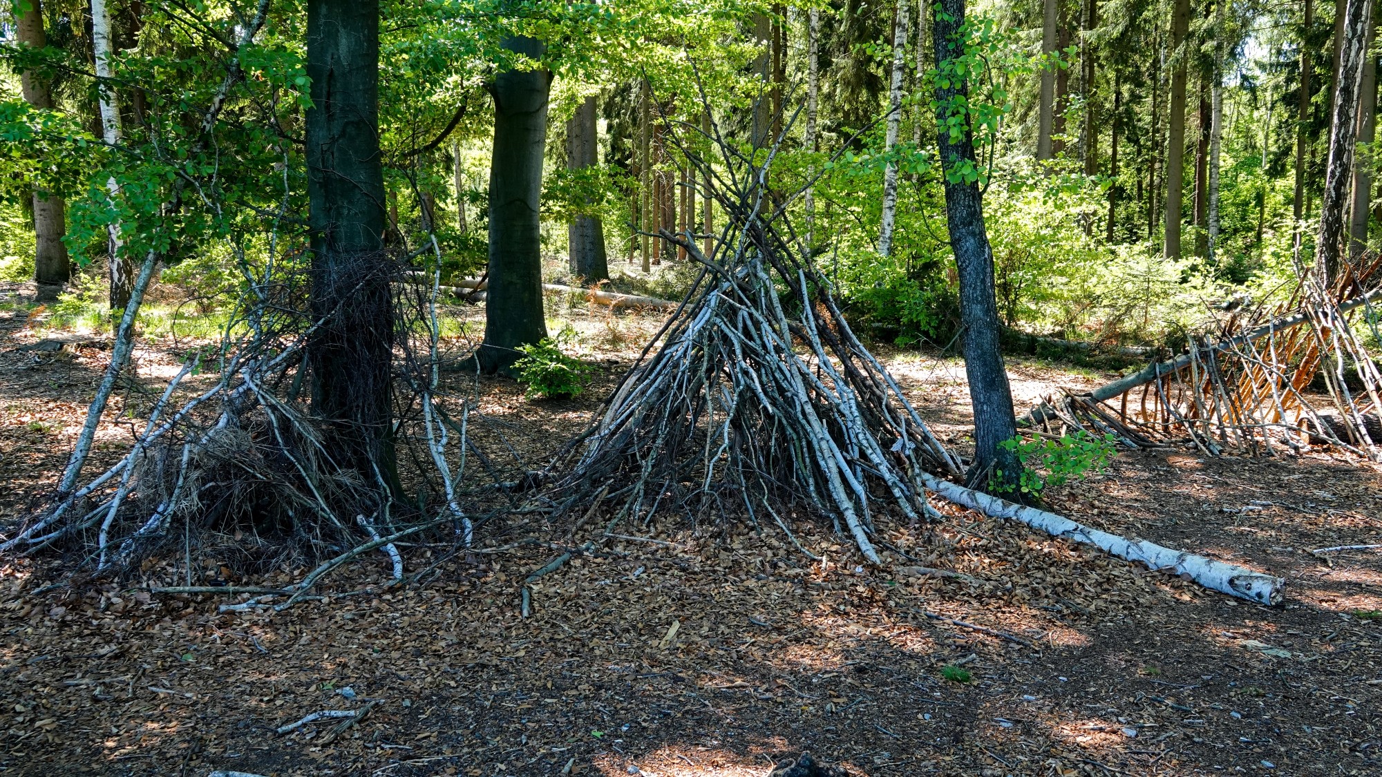 Uroki zielonej pory roku - zdjęcie 70