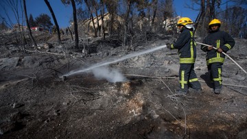 Pożar w okolicach Hajfy opanowany; ewakuowani wracają do domów