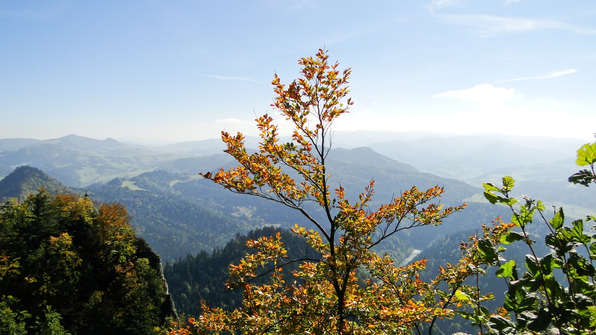 Piękno polskich gór - zdjęcie 64