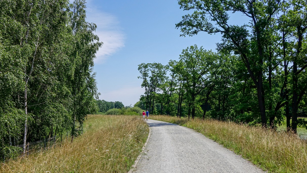 Czerwiec w obiektywie - zdjęcie 31