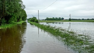 03.08.2020 11:00 Ulewy, wzbierające rzeki i zalania. Niemal cała norma sierpniowych opadów spadnie w zaledwie 2 dni