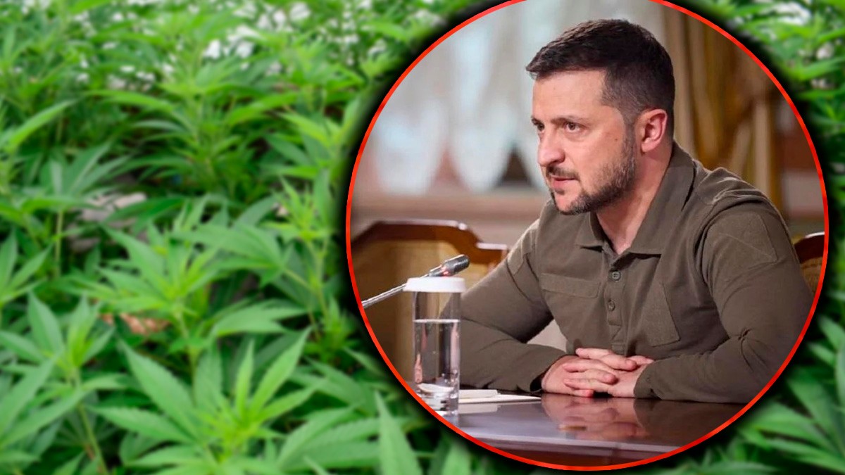 Wołodymyr Zełenski chce legalizacji marihuany. Panaceum na traumy wojenne