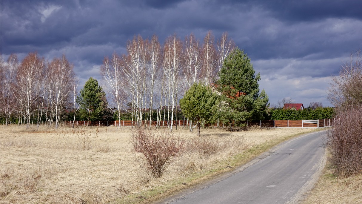 Marzec w obiektywie - zdjęcie 12