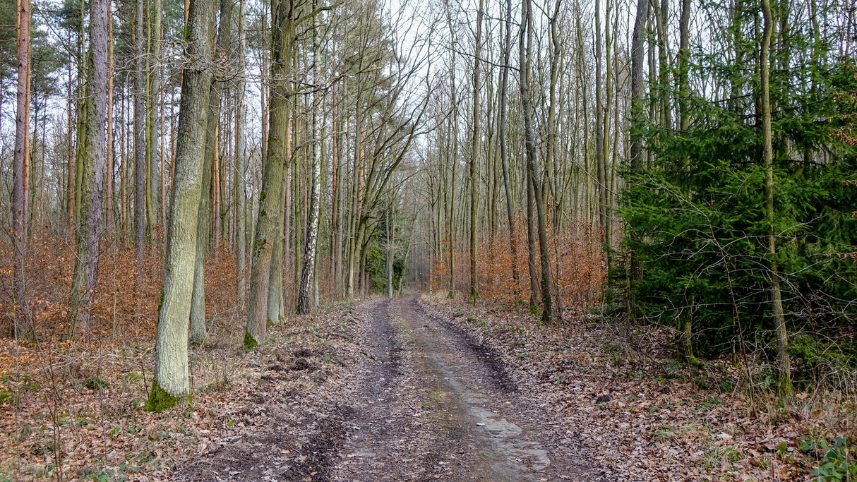 Luty w obiektywie - zdjęcie 32