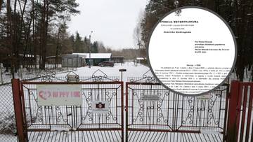 Zamknięcie schroniska w Sobolewie. Polsat News dotarł do dokumentu