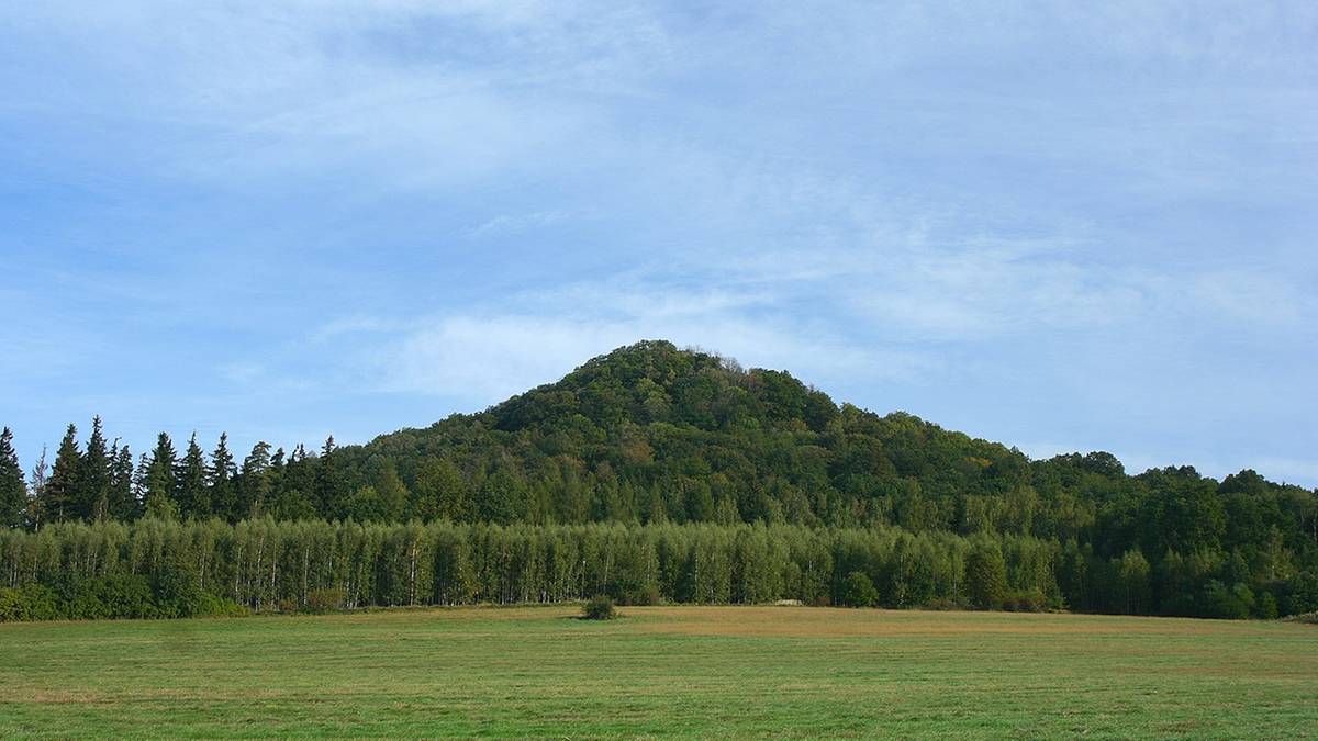 Fot. Paweł Kuźniar (Jojo_1, Jojo), CC BY-SA 3.0, Wikimedia