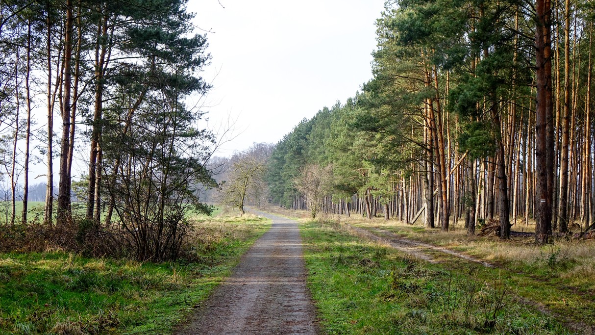 Grudzień w obiektywie - zdjęcie 35