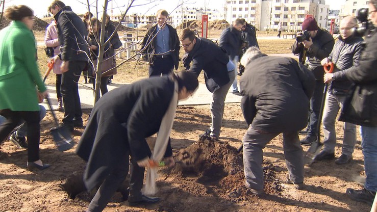 Warszawski ratusz zaprasza do sadzenia drzew