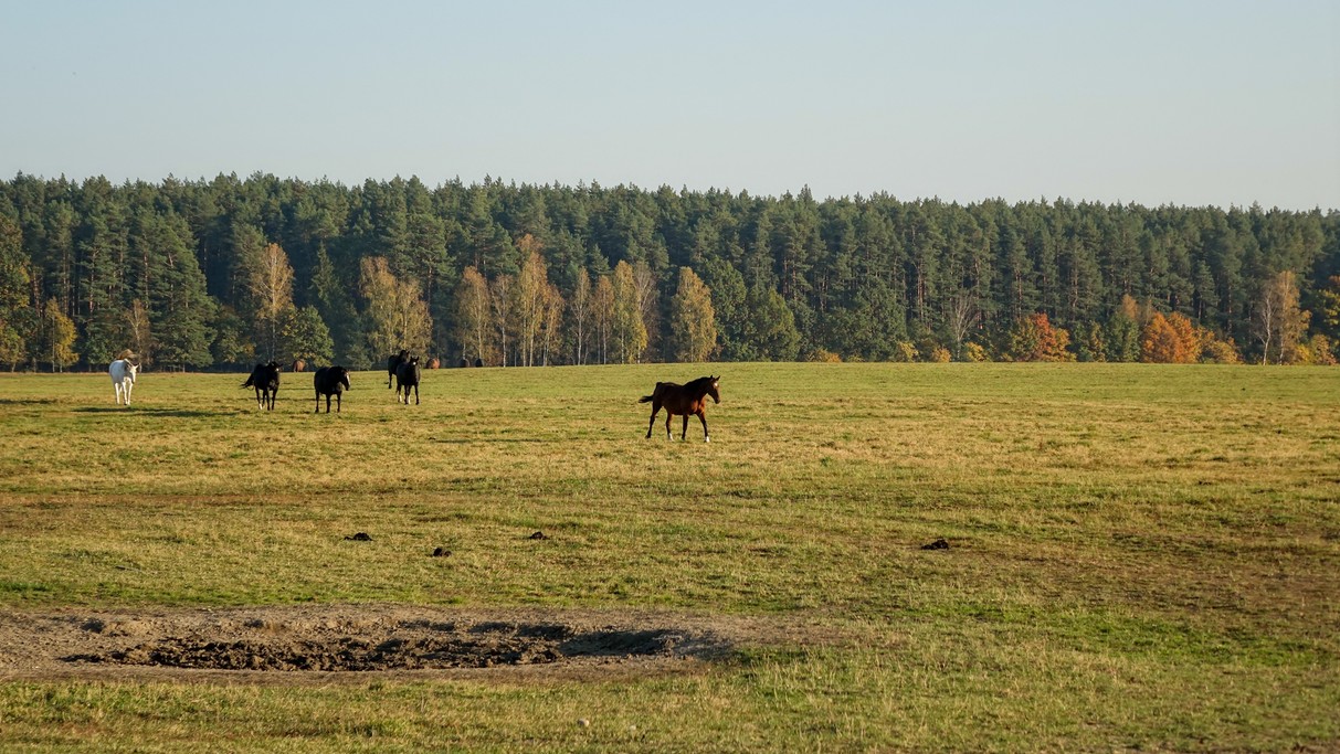 Październik w obiektywie - zdjęcie 49