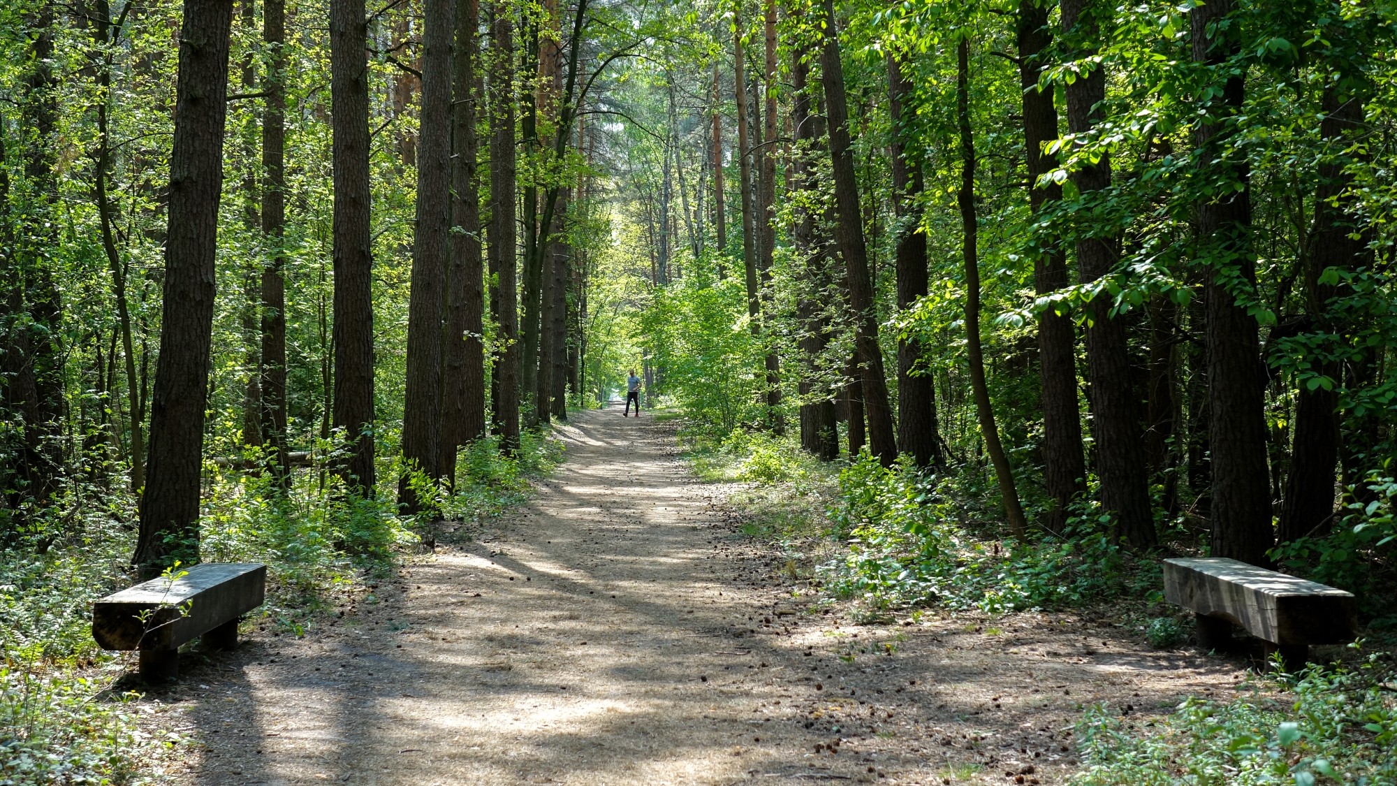 Maj w obiektywie - zdjęcie 42
