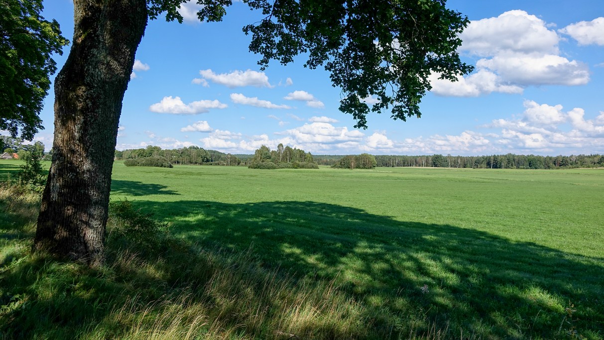 Sierpień w obiektywie - zdjęcie 11