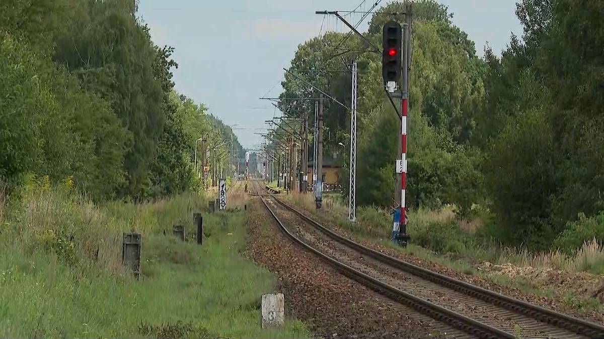 Samochód wjechał pod pociąg. Wszyscy pasażerowie zginęli