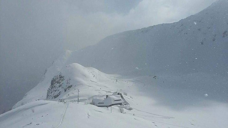 Armagedon śnieżny w Tatrach. Zasypane drogi do schronisk, apele o zaniechanie wycieczek