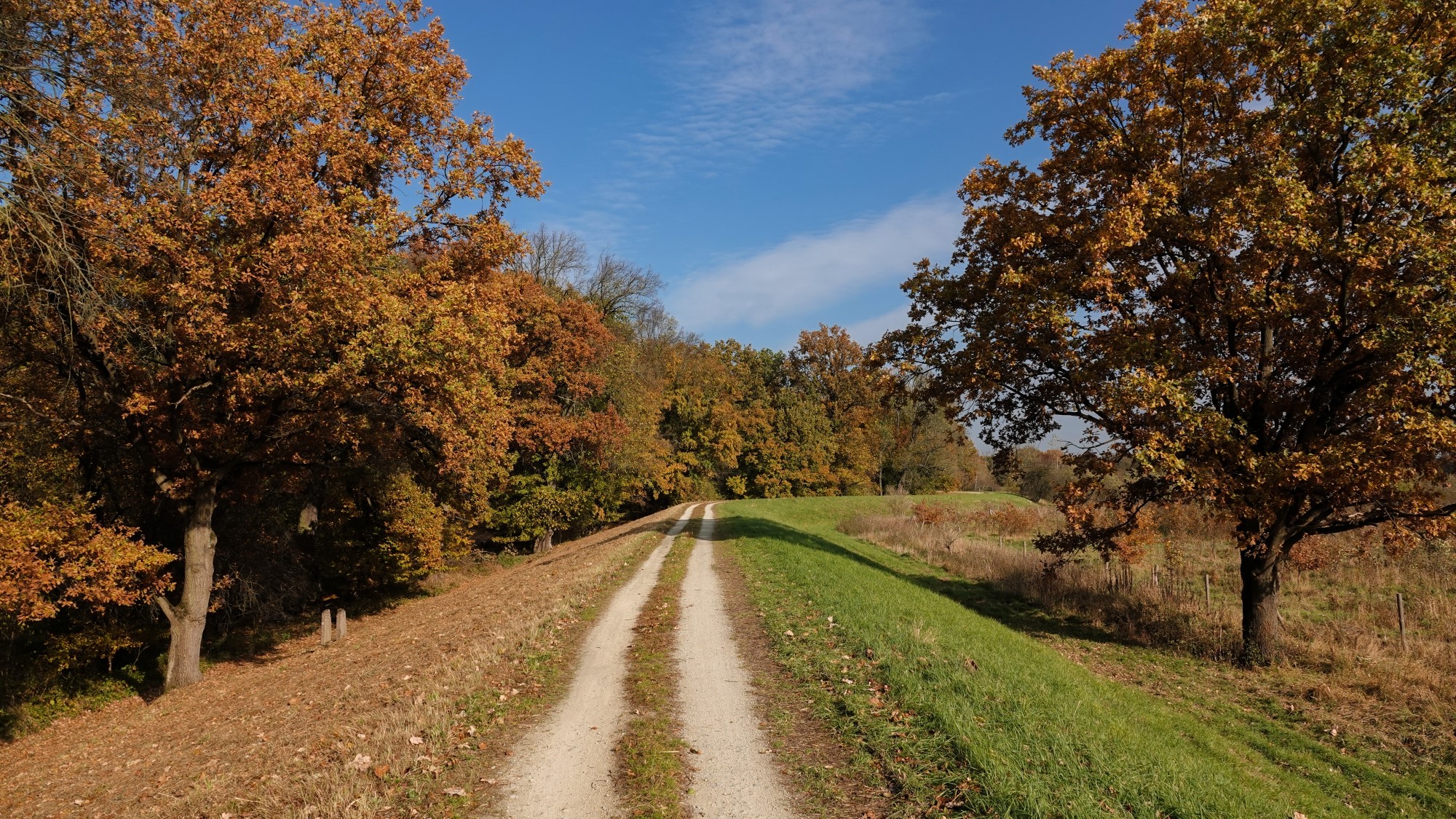 Jesienne klimaty - zdjęcie 32