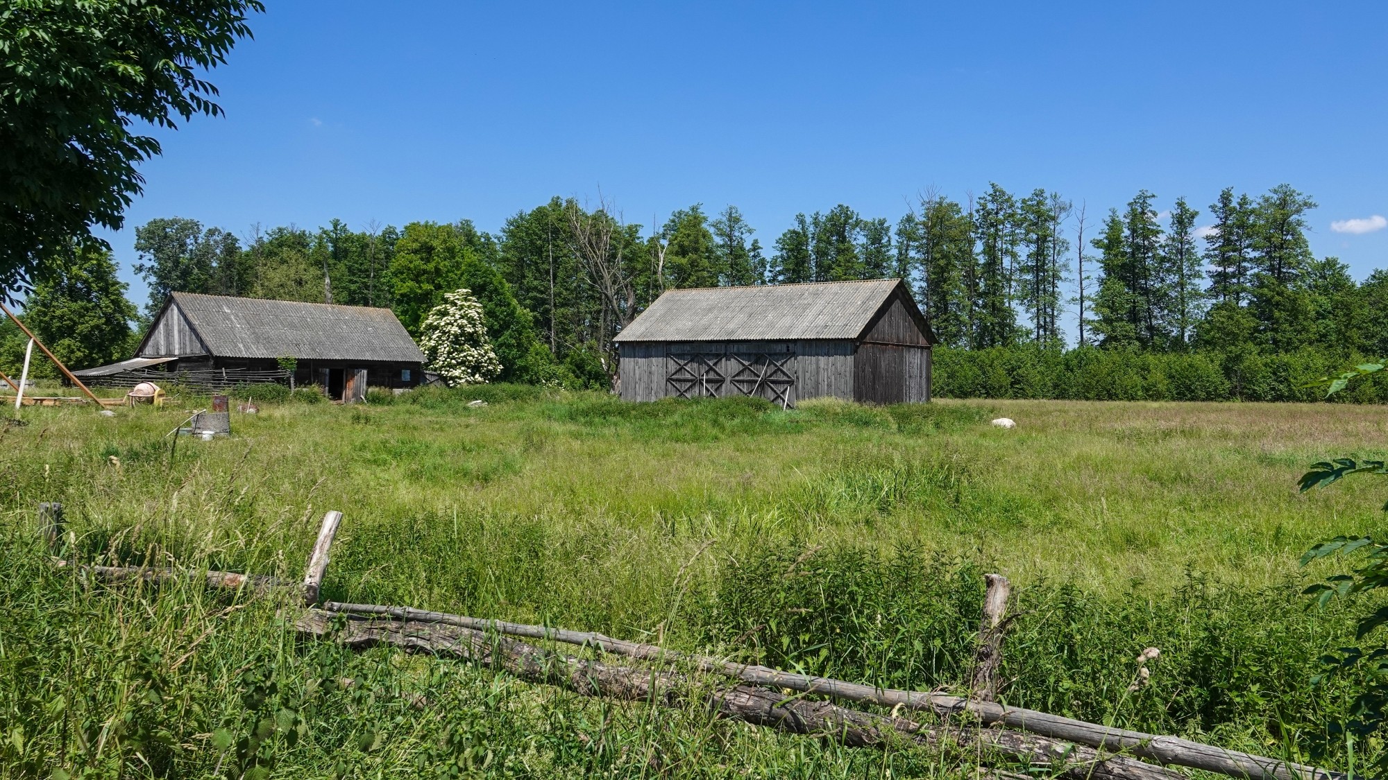 Lato w plenerze - zdjęcie 17
