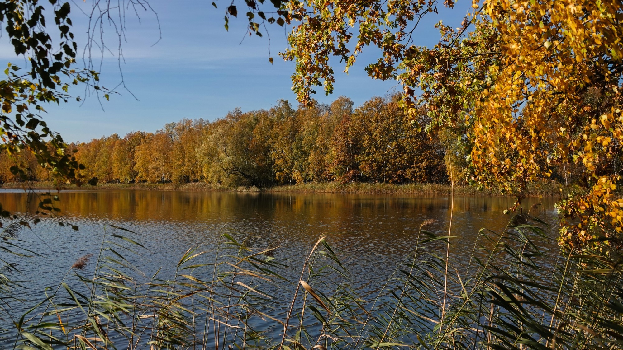 Jesienne klimaty - zdjęcie 9