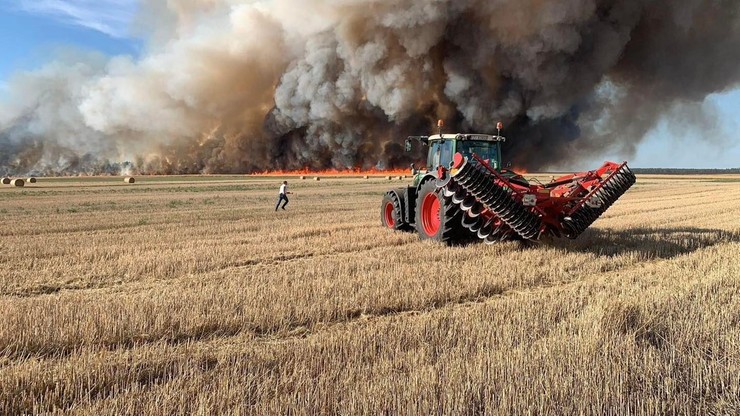 Zbąszyń: Pożar 60 hektarów zboża na pniu. Dym widoczny z kilkudziesięciu kilometrów