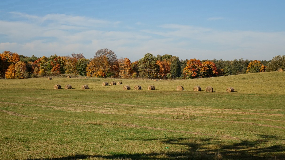 Październik w obiektywie - zdjęcie 27